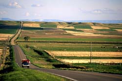Fields