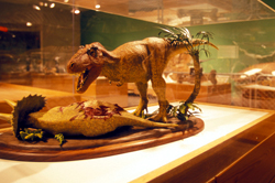 Museum of the Rockies predator display