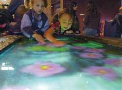 A touchable, simulated pond at ExplorationWorks, Helena