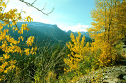 Glacier National Park, visitmt.com