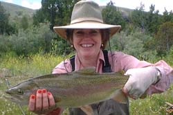 Fish and fishing rod.