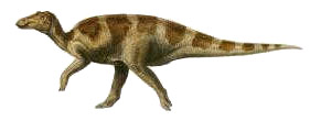 Maiasaur