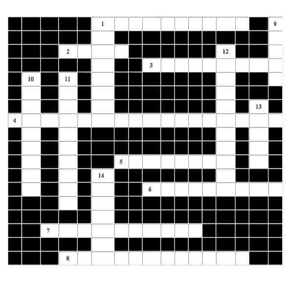 Crossword Puzzle