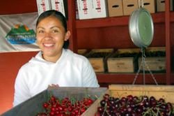 Flathead cherries