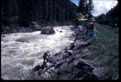 The River Wild The River Wild