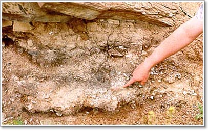 Archaeological excavation.