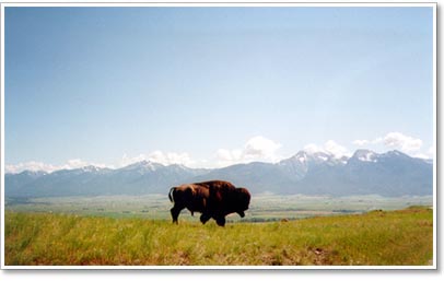 National Bison Range.