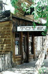 Toy Store.