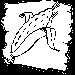 Stalk of Corn