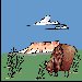 Bison