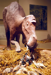 Maiasaura