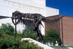 Museum of the Rockies.