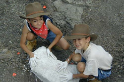 Digging dinos.