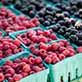 CLose up view of baskets of rasperries.