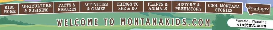 Welcome to Montanakids.com