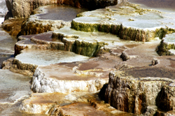 Terraces at Mammoth Hotsprings