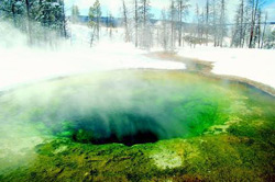Morning Glory, Yellowstone National Park