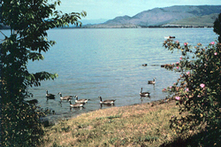 Flathead Lake Flathead Lake