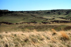 Rosebud Battlefield
