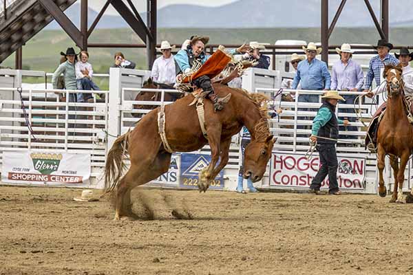 Bronc Rider