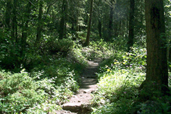 Gates of the Mountains Wilderness